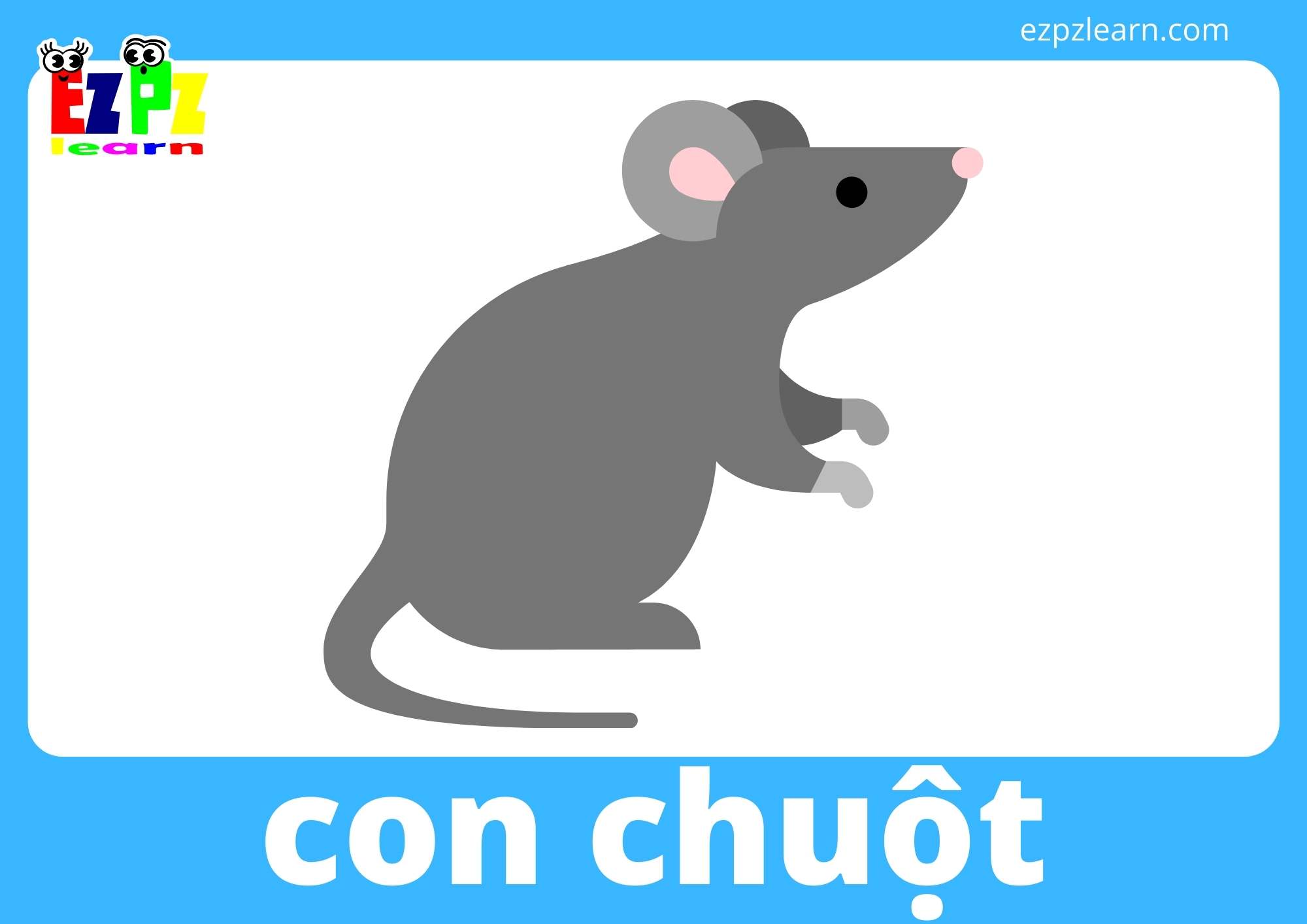 con chuột